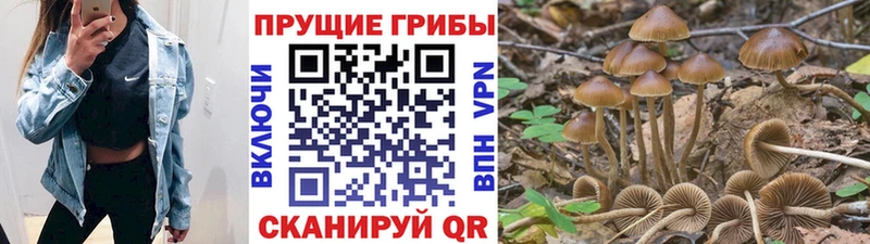 Галлюциногенные грибы прущие грибы  цены   Белорецк 